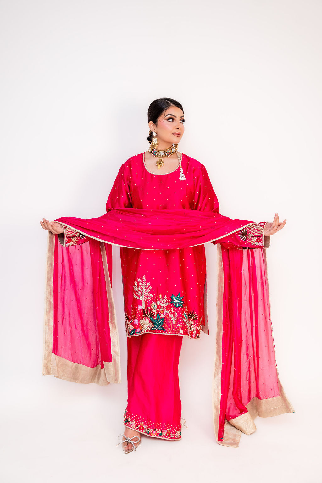 Mah-e-Gulabi (ਮਹ-ਏ-ਗੁਲਾਬੀ | ماہِ گلابی)-Pink Moon (Image - 1)