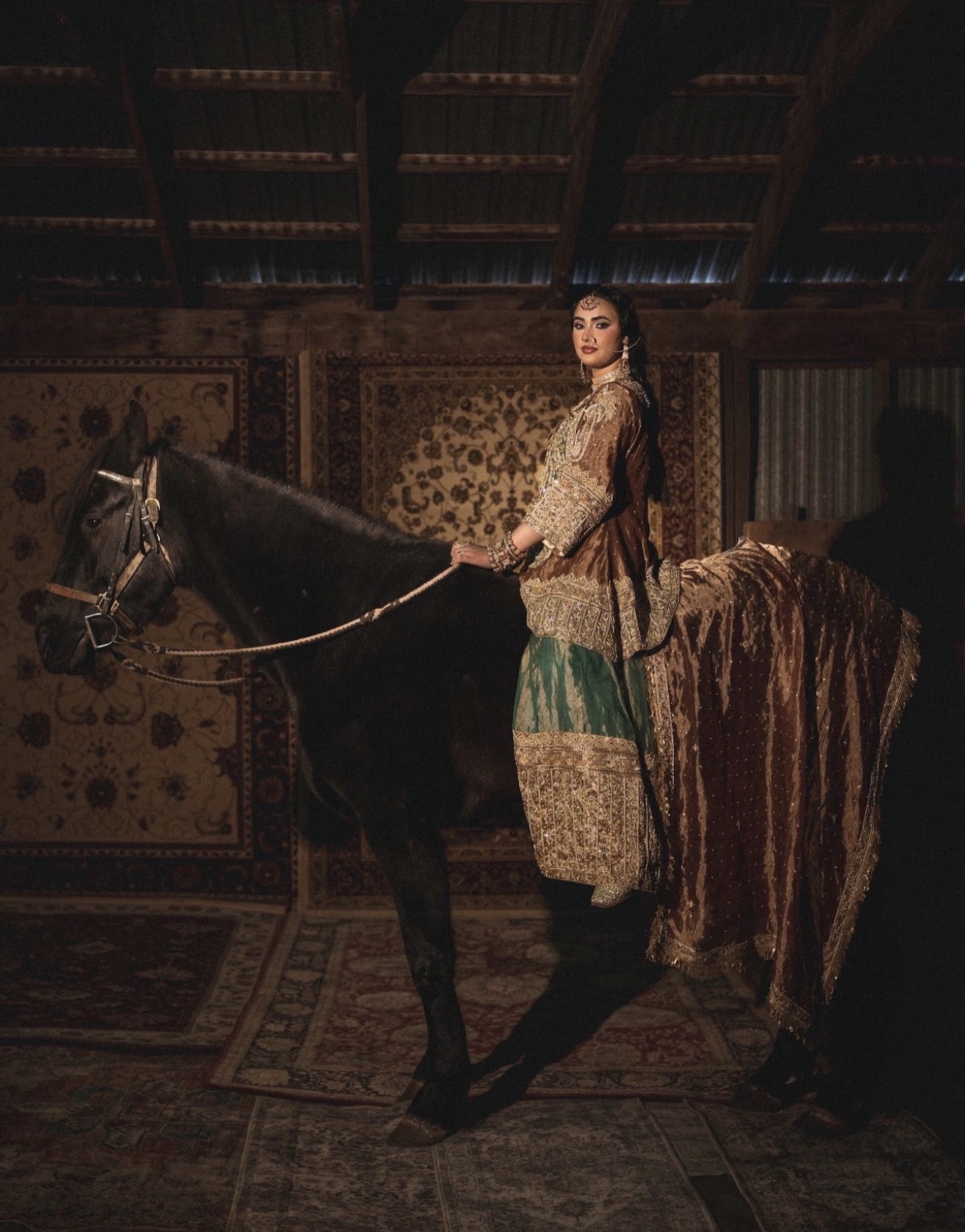 Malika-e-Manaazir (ਮਲਿਕਾ-ਏ-ਮਨਾਜ਼ਿਰ | ملکہِ مناظر)-Queen of Visions, from Horse & Heirloom Collection. (Image - 1)