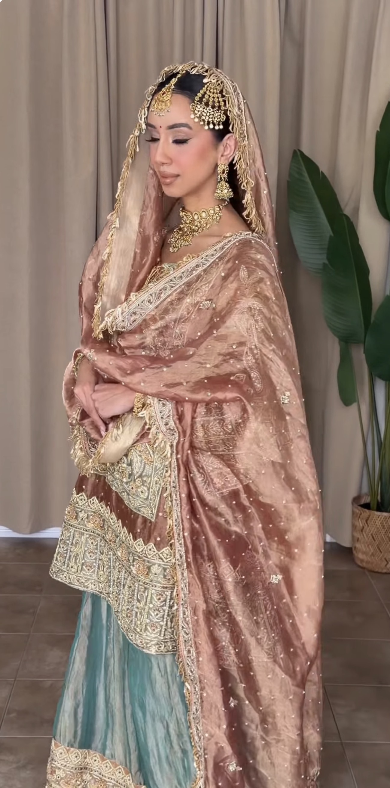 Malika-e-Manaazir (ਮਲਿਕਾ-ਏ-ਮਨਾਜ਼ਿਰ | ملکہِ مناظر)-Queen of Visions, from Horse & Heirloom Collection. (Image - 1)