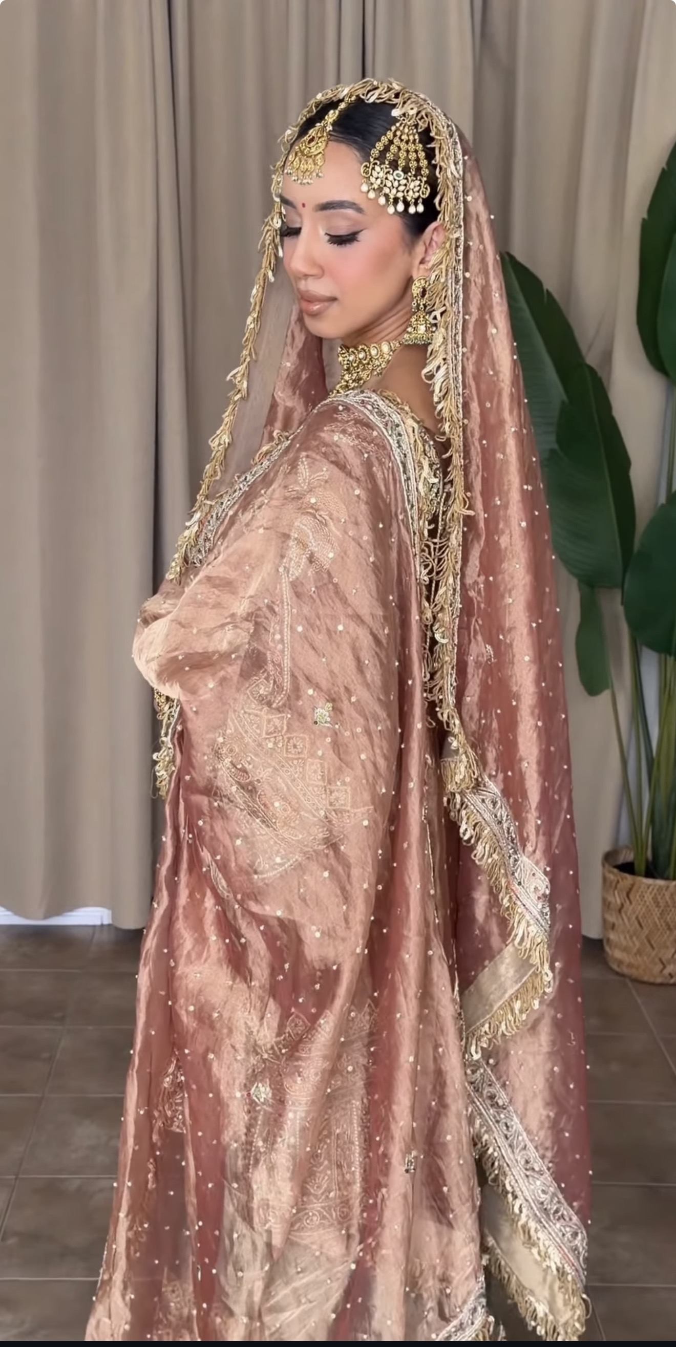 Malika-e-Manaazir (ਮਲਿਕਾ-ਏ-ਮਨਾਜ਼ਿਰ | ملکہِ مناظر)-Queen of Visions, from Horse & Heirloom Collection. (Image - 1)