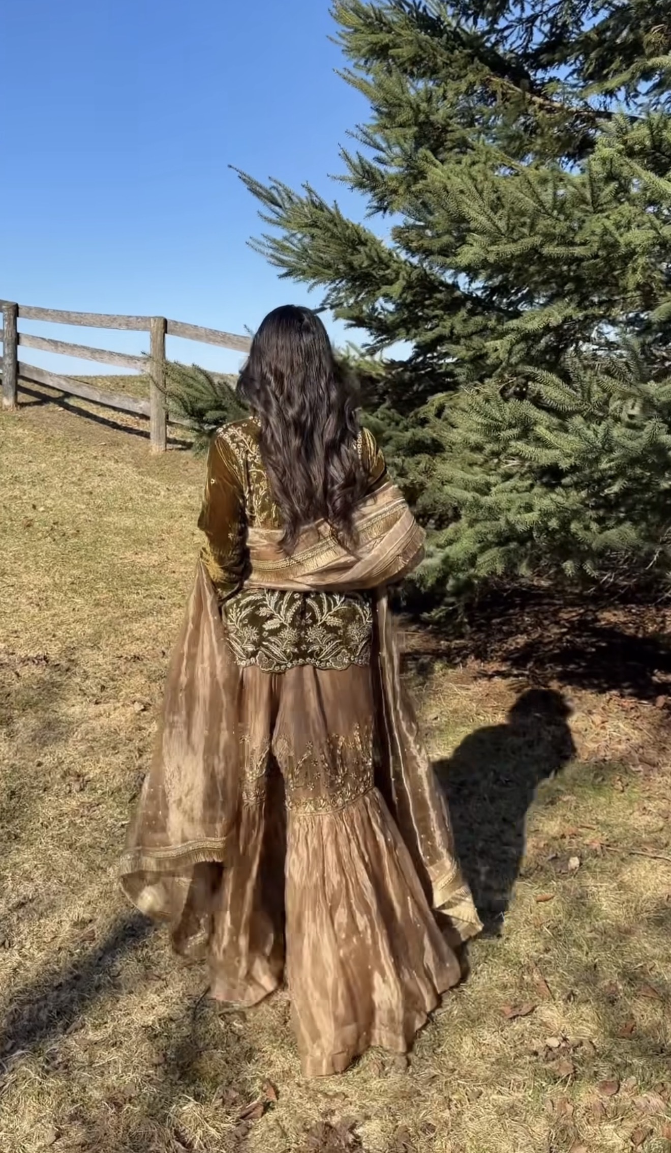 Moti Mahal-ਮੋਤੀ ਮਹਲ-(موتی محل) Palace of Pearls (Image - 1)