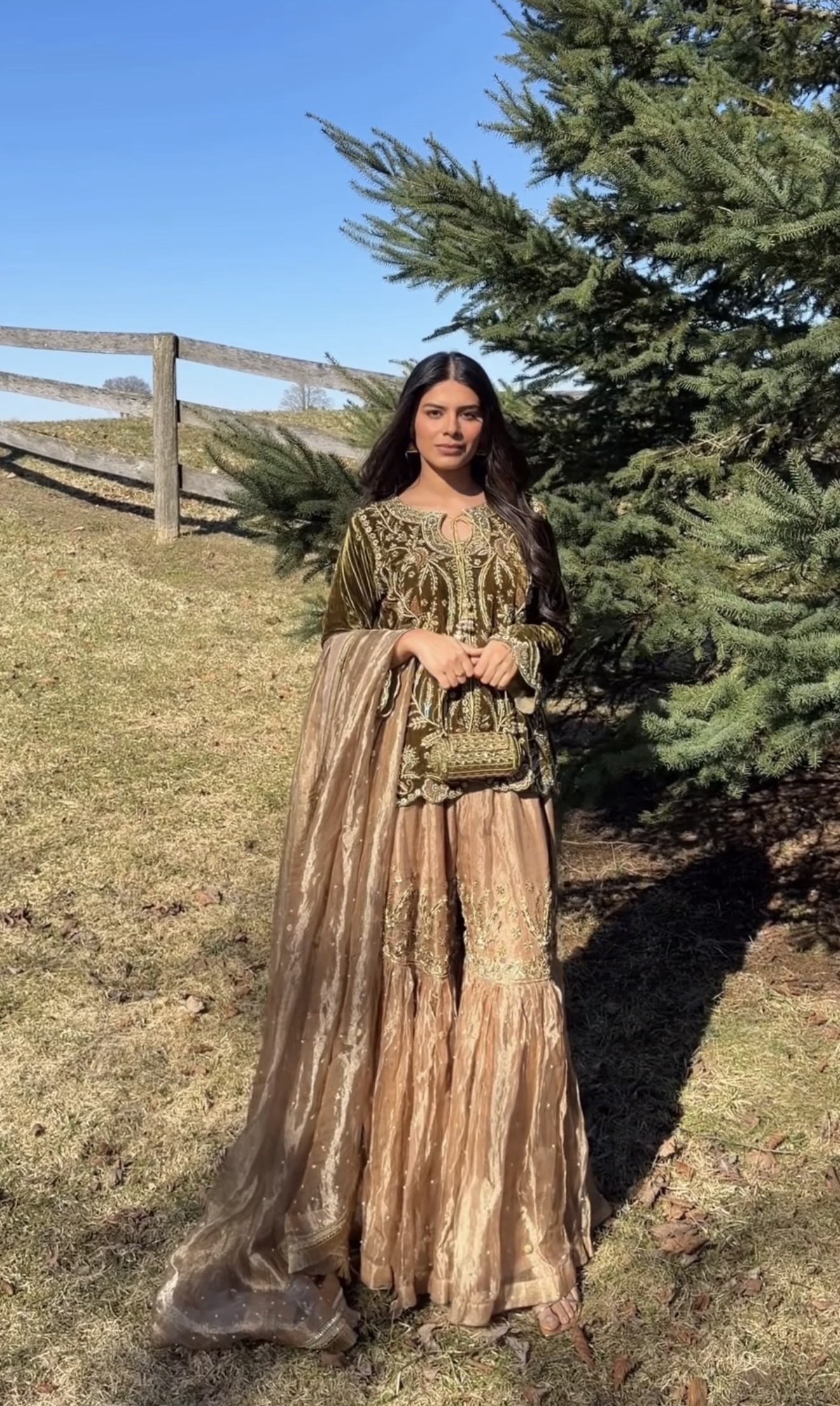 Moti Mahal-ਮੋਤੀ ਮਹਲ-(موتی محل) Palace of Pearls (Image - 1)