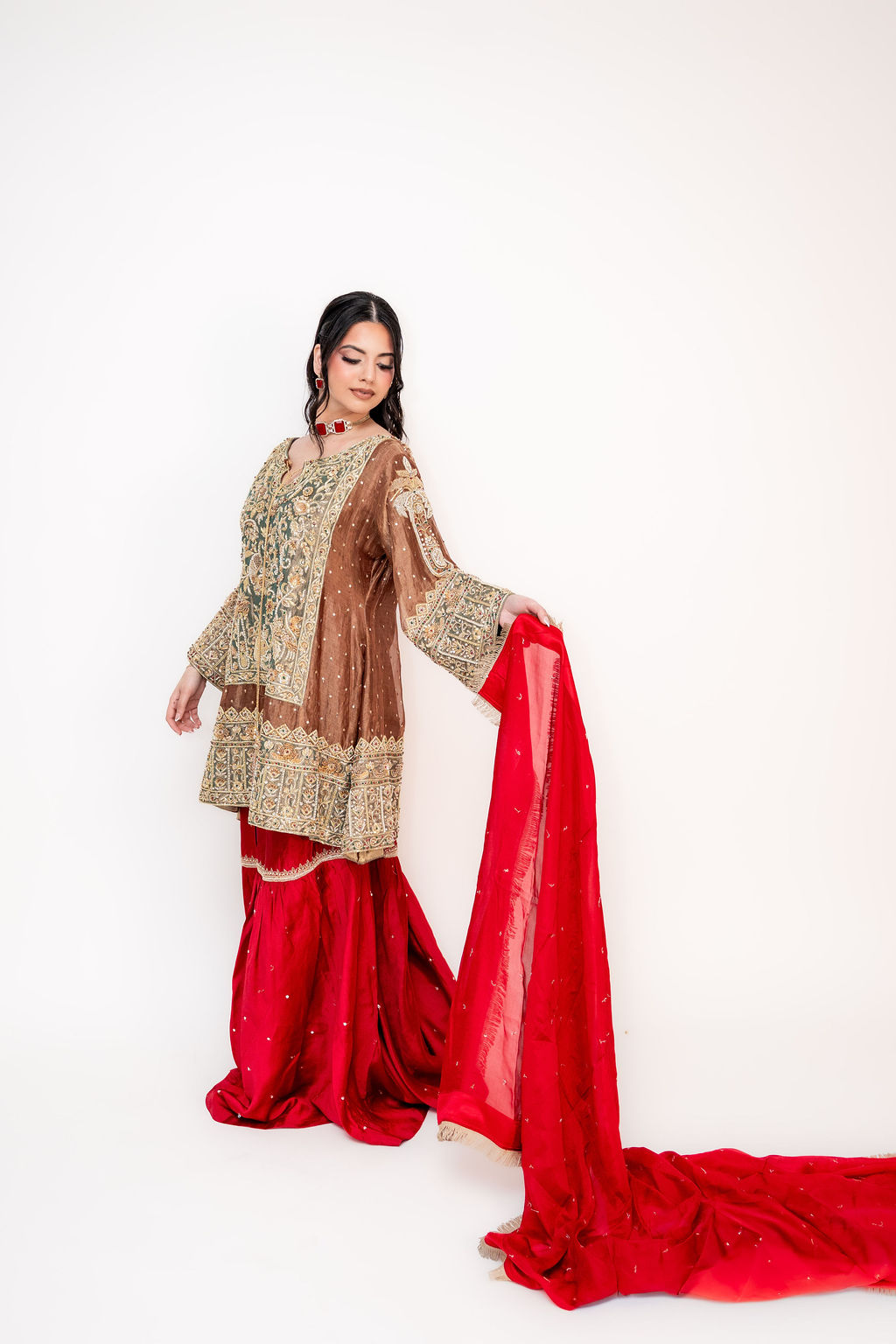 Noor-e-Shahi (ਨੂਰ-ਏ-ਸ਼ਾਹੀ | نورِ شاہی)- Royal Radiance 1