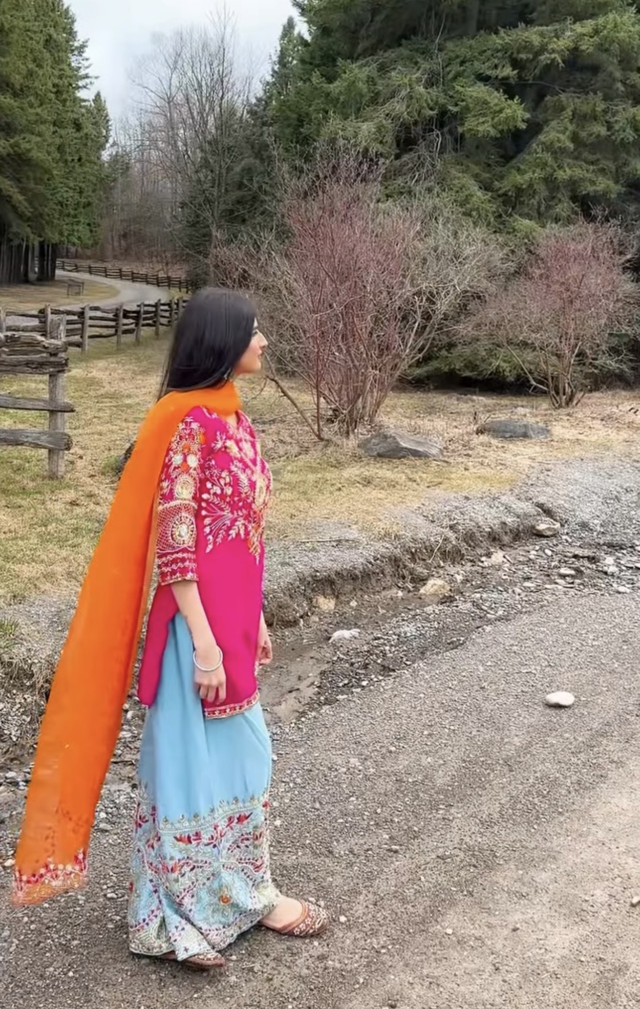 Shabnam-e-Aasmaan (ਸ਼ਬਨਮ-ਏ-ਆਸਮਾਨ | شبنمِ آسمان)-Dewdrop of the Sky (Image - 1)